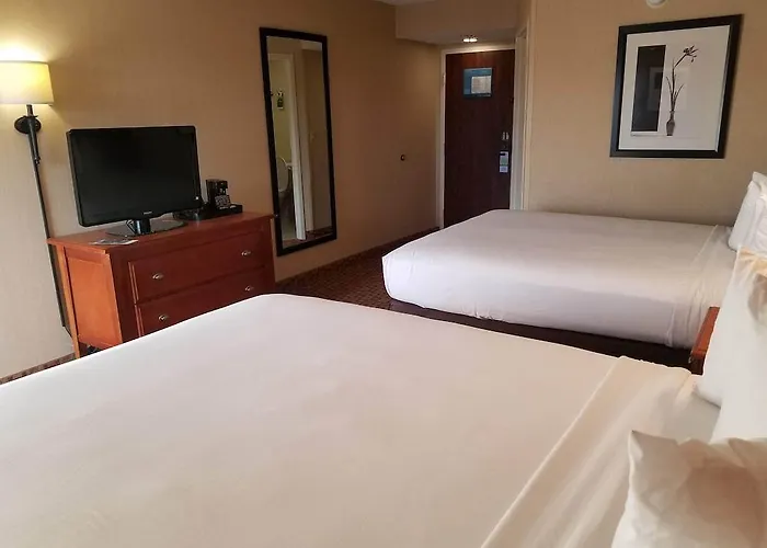 Hotel Mainstay Il 3*
